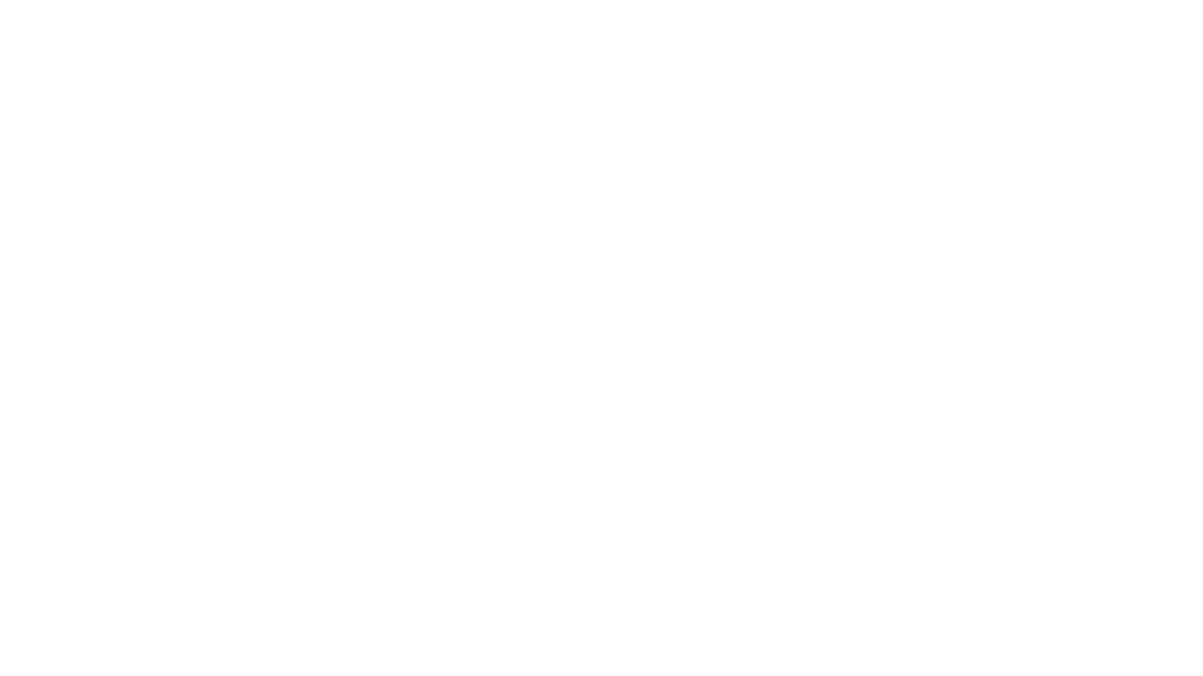 VIBe — Voter Insights, Bellevue