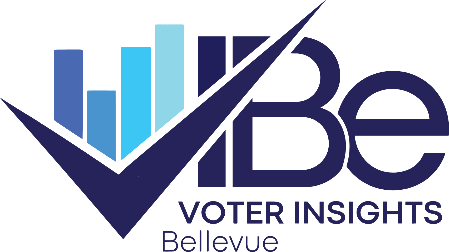 VIBe — Voter Insights, Bellevue